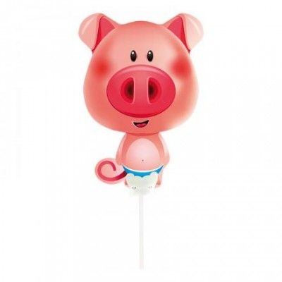 Ballong på Pinne Gris