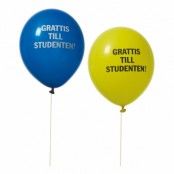 Ballonger Studenten - 8-pack