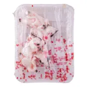 Blodiga Möss på Fat Prop