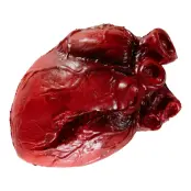 Blodigt Hjärta Prop