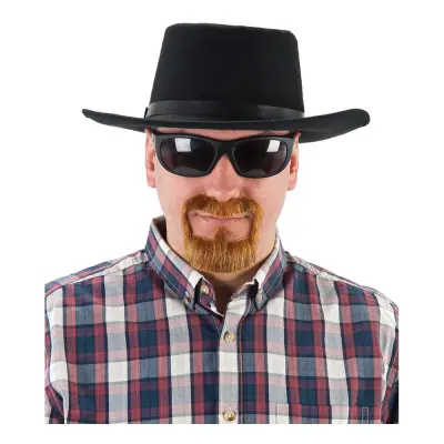 Kemilärare Skägg med Mustasch