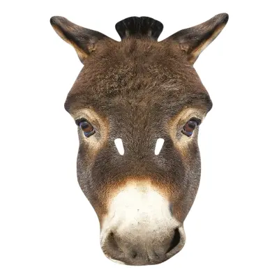 Åsna Pappmask