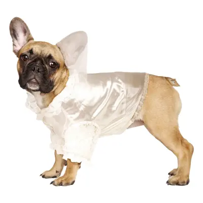 Brud Maskeraddräkt för Hund - Small