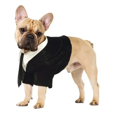Brudgum Maskeraddräkt för Hund - X-Small