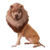 Djungelns Konung Hund Maskeraddräkt - X-Small