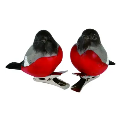 Domherre med Clip - 1-pack