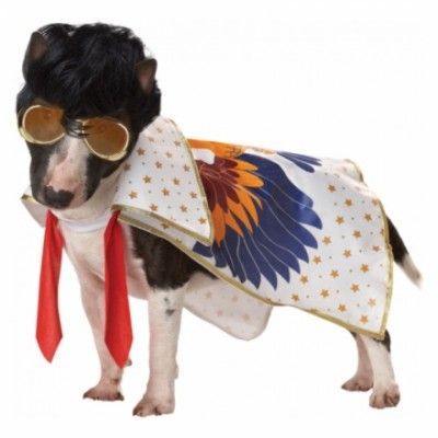 Elvis Hund Maskeraddräkt