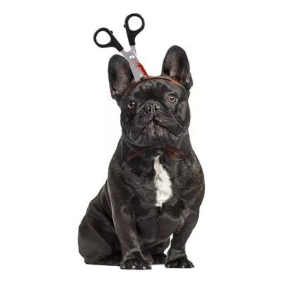 Halloween Props för Hund - Sax