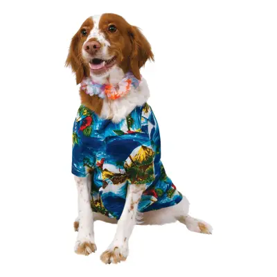 Hawaii Hund Maskeraddräkt - X-Large