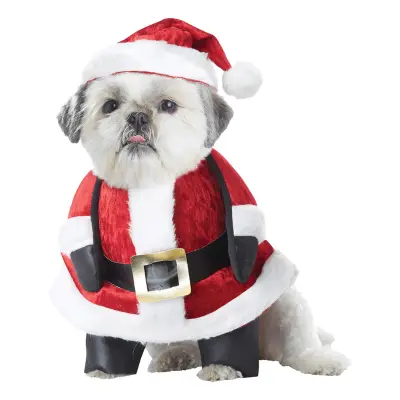 Jultomte Hund Maskeraddräkt