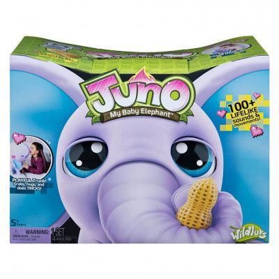 Juno My Baby Elephant