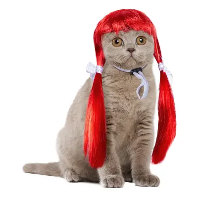 Kattperuk Röd - One size