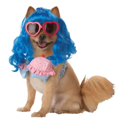 Katy Perry Hund Maskeraddräkt