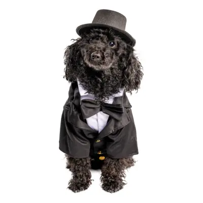 Kostym Hund Maskeraddräkt - X-Large