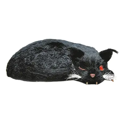 Läskig Katt Prop