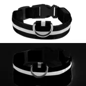 LED Hundhalsband - Flerfärgad - Small