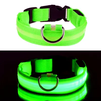 LED Hundhalsband - Grön - Large