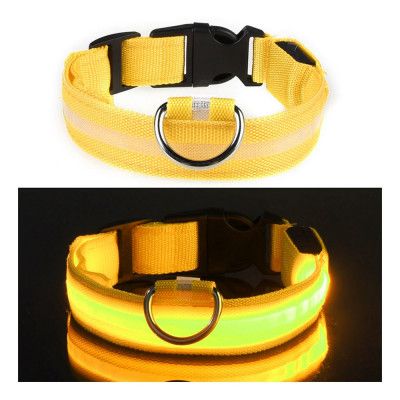 LED Hundhalsband - Gul - Large