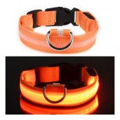 LED Hundhalsband - Orange - Medium