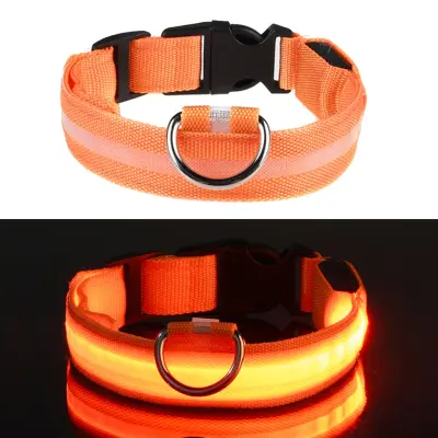 LED Hundhalsband - Orange - Medium