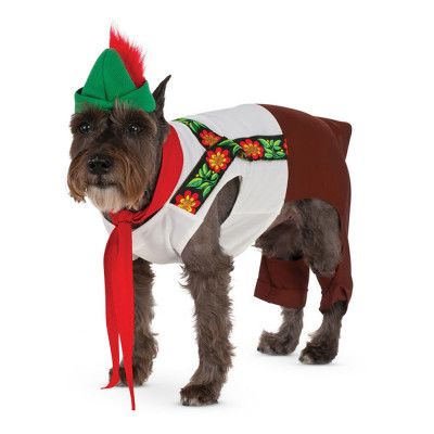 Lederhosen Hund Maskeraddräkt - Medium