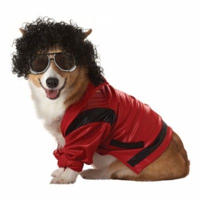 Michael Jackson Hund Maskeraddräkt