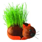 Odla Din Egen Håriga Katt