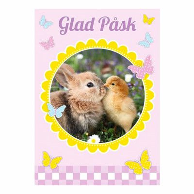 Påskkort Enkelt Kanin & Kyckling