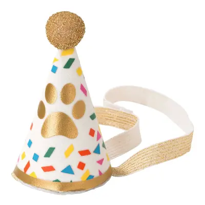 Partyhatt för Hundar