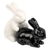 Salt-&Pepparkar Kaniner