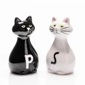 Salt&Peppar Kar Katter