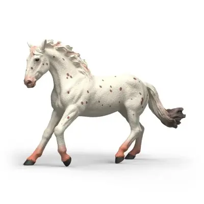 Schleich® HORSE CLUB Knabstrupper Sto 14917 - Schleich -  Leksaksaffären