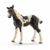 schleich® HORSE CLUB Pintoföl 13803