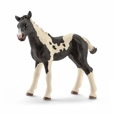 schleich® HORSE CLUB Pintoföl 13803 - Schleich -  Leksaksaffären