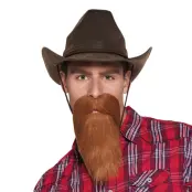 Skägg Cowboy