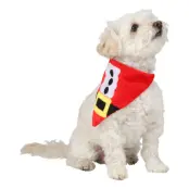 Tomtescarf för Hund