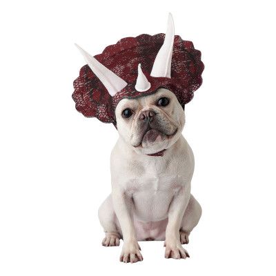 Triceratops Hund Tillbehörsset - X-Small