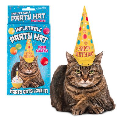 Uppblåsbar Kalashatt för Katt