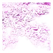 Konfetti Babyshower It's a Girl - 15 gram