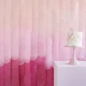 Backdrop Streamers Rosa Ombre