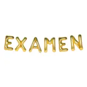 Ballonggirlang Examen Guld