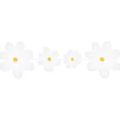 Girlang Daisies