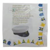 Servetter Student II