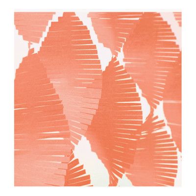 Fringe Girlang Korall