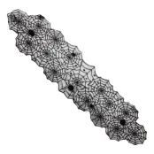 Bordslöpare Spindelnät