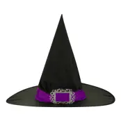 Häxhatt med Lila Band