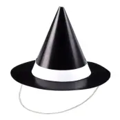 Häxhattar Mini av Papp - 8-pack