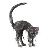 Katt med Ljudsensor Prop