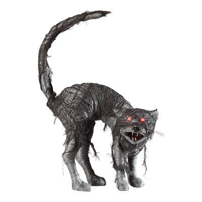 Katt med Ljudsensor Prop