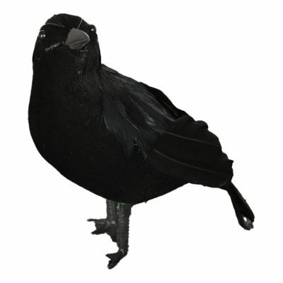 Svart korp Dekoration